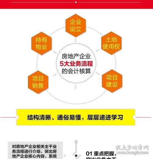 2020新版 房地產(chǎn)會計(jì)真賬實(shí)操全流程演練 第2版 建筑會計(jì)基礎(chǔ)操作實(shí)務(wù)實(shí)操大全 企業(yè)準(zhǔn)則公司房產(chǎn)會計(jì) 做賬財(cái)務(wù)賬務(wù)管理入門書籍