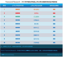 超驗(yàn)視角下的中國(guó)化學(xué)制品上市公司 大數(shù)據(jù)財(cái)務(wù)安全評(píng)級(jí)深度解析
